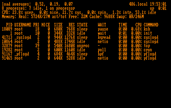 A virtual glowing amber CGA monitor displaying top(1)